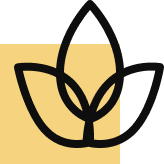 Home 2 Luxury Lifestyle